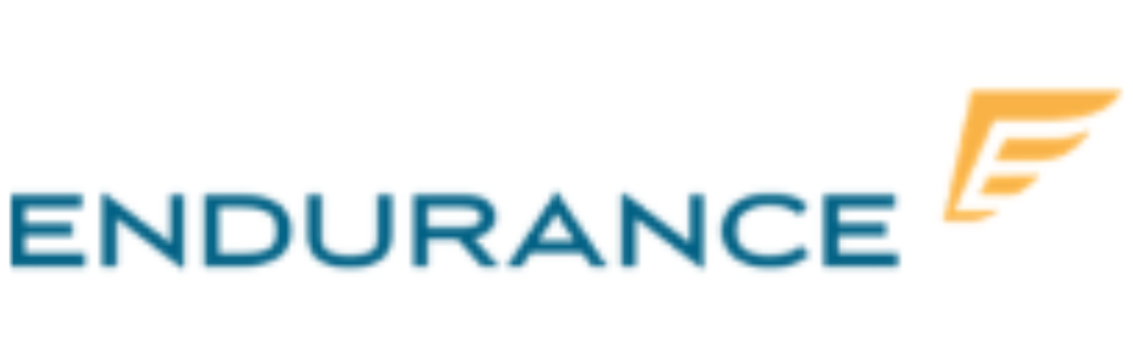 Endurance Logo